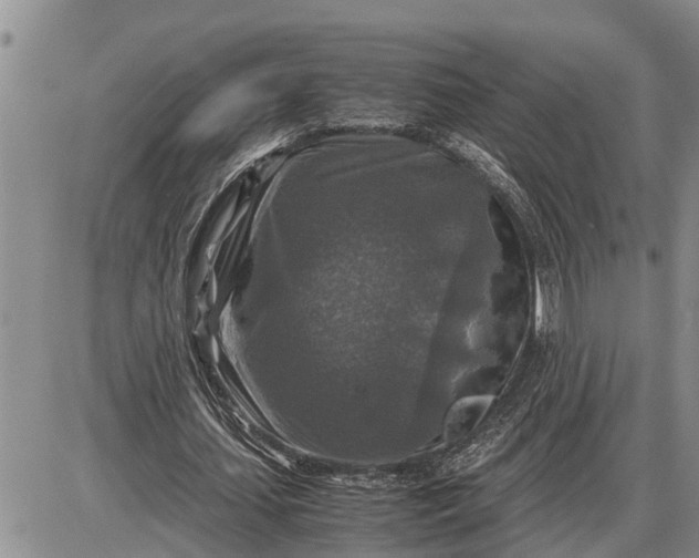 X0000085250627200703231650