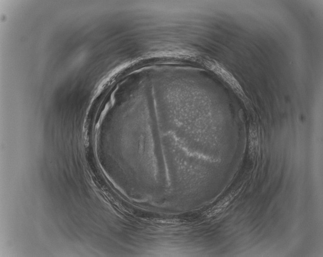 X0000085250628200703231650