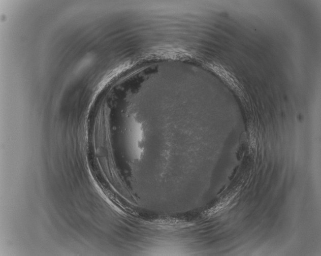 X0000085250630200703231650