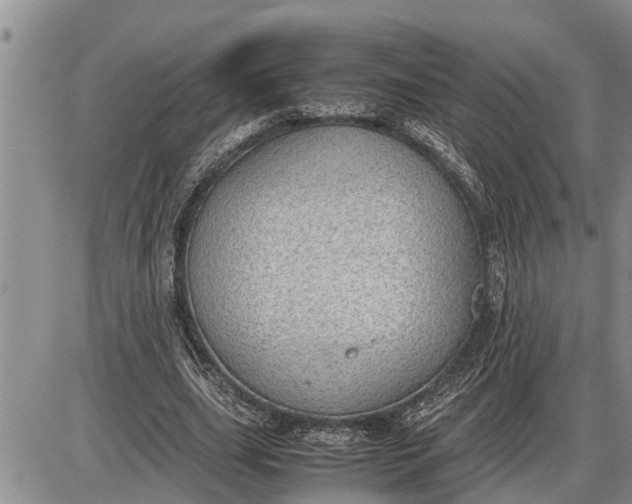 X0000085250631200703231650