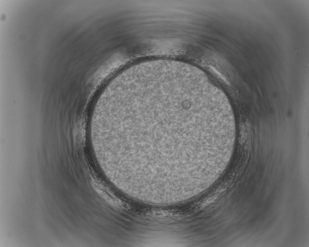 X0000085250632200703231650