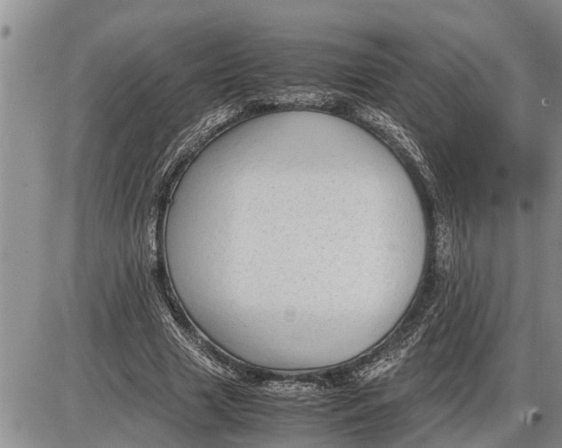 X0000085250633200703231651