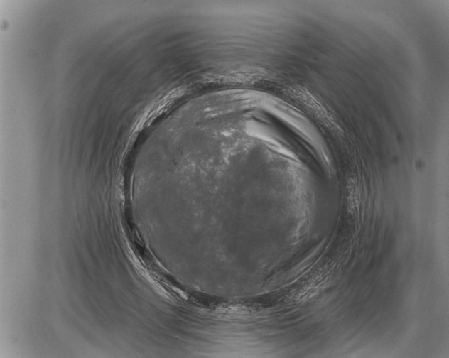 X0000085250634200703231651