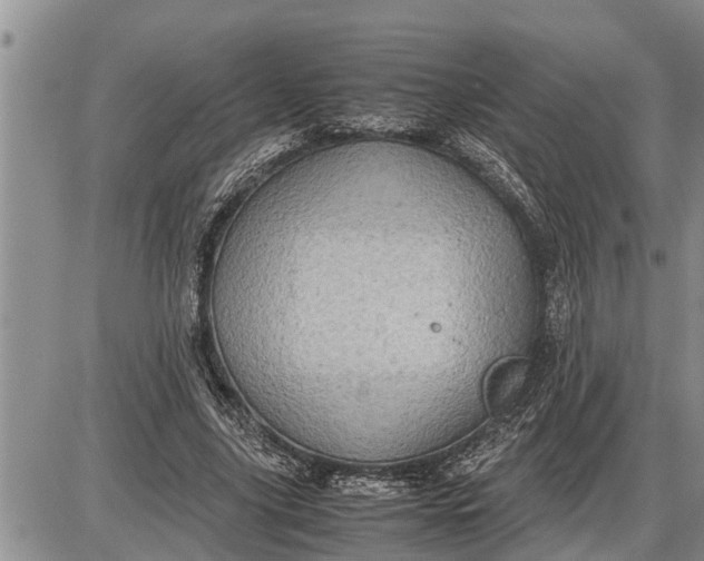 X0000085250635200703231651