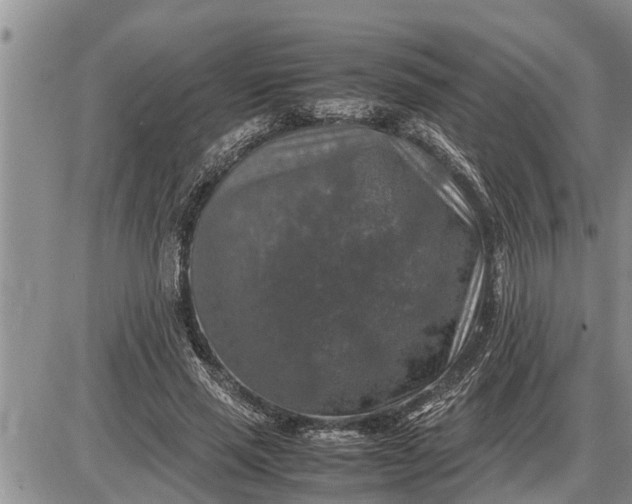 X0000085250637200703231651