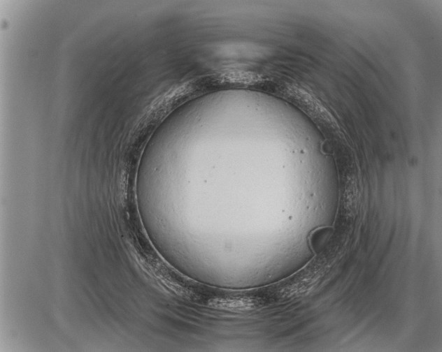 X0000085250639200703231651