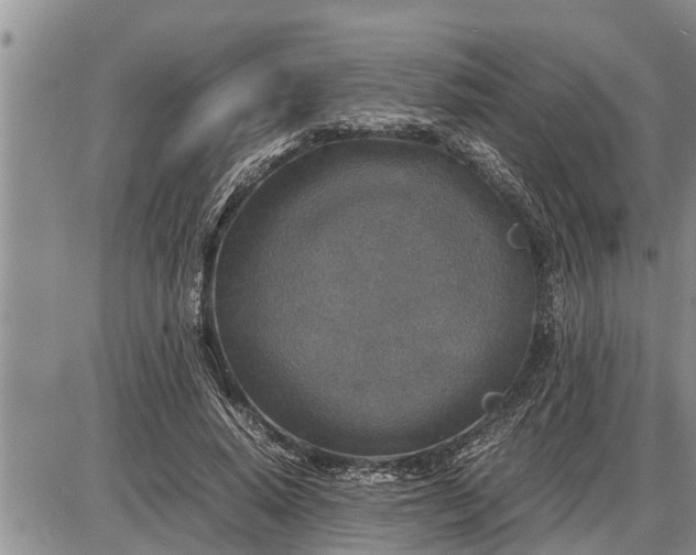 X0000085250640200703231651