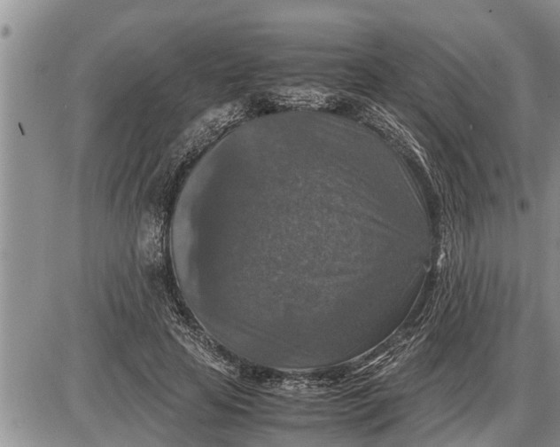 X0000085250641200703231651