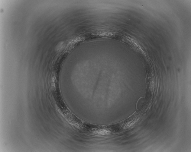 X0000085250643200703231651