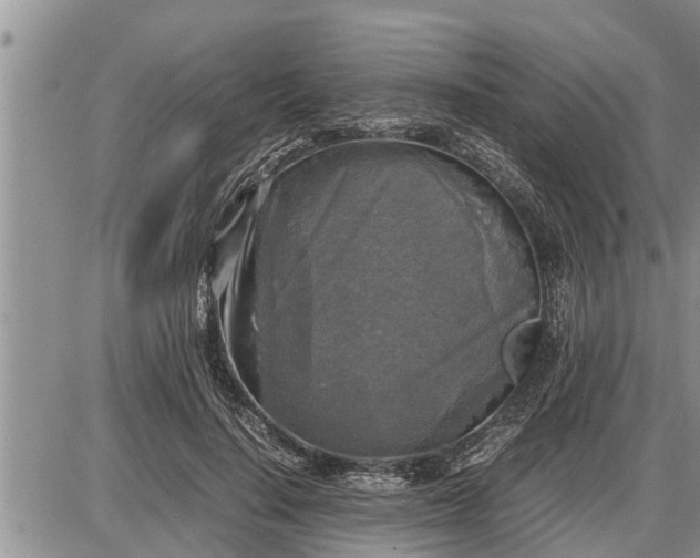 X0000085250644200703231651