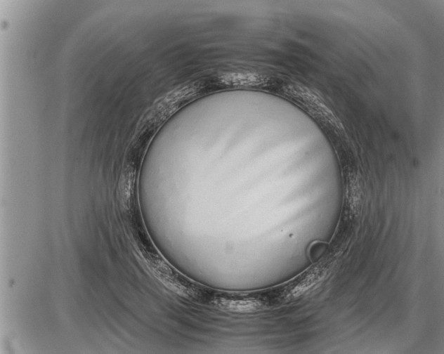 X0000085250645200703231651