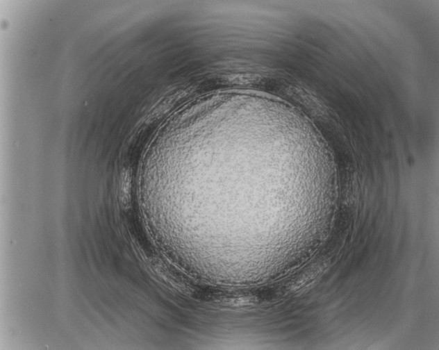 X0000085250646200703231651