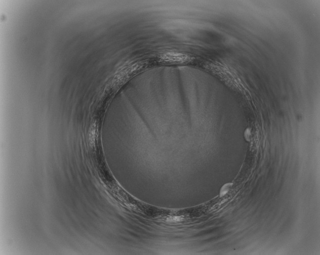 X0000085250647200703231651