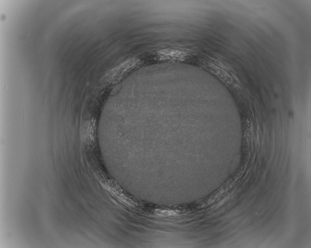 X0000085250649200703231651