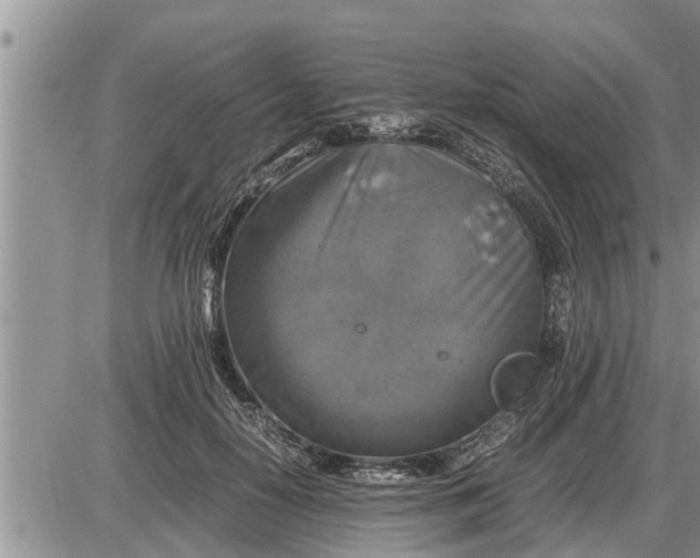 X0000085250650200703231651