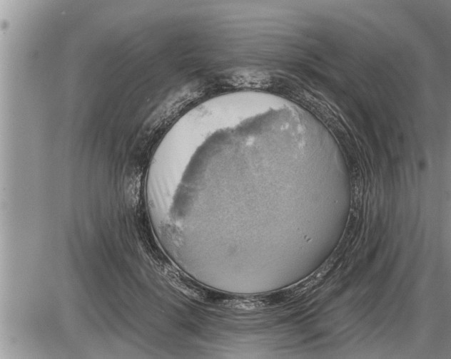 X0000085250652200703231651