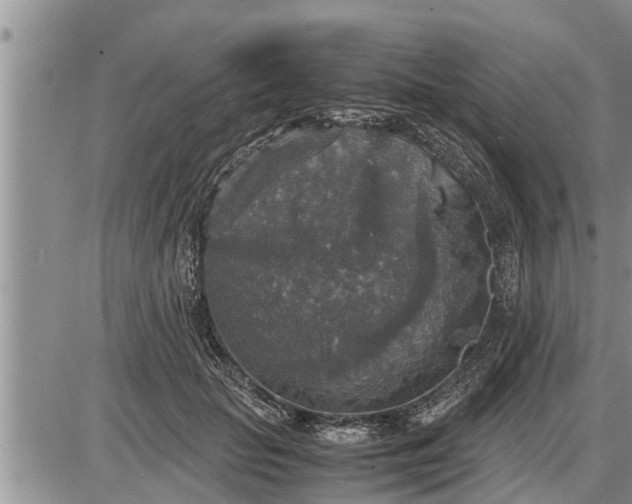 X0000085250653200703231651