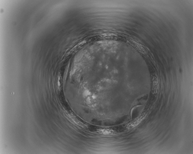 X0000085250654200703231651