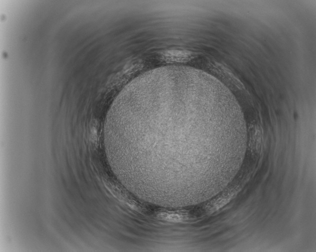 X0000085250655200703231651