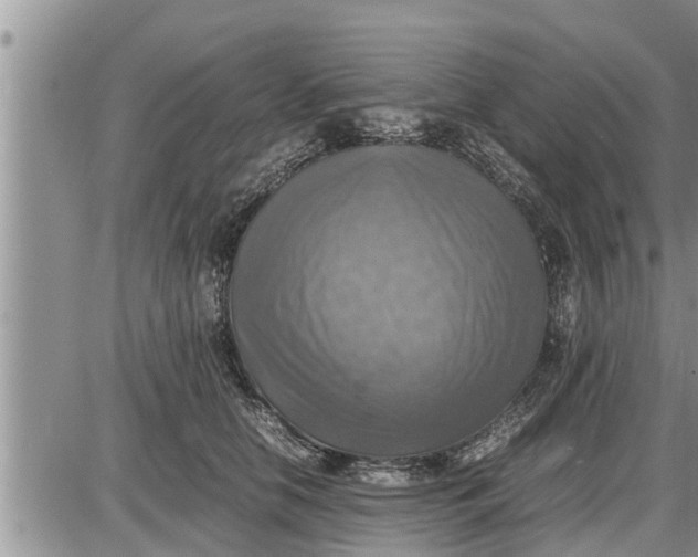 X0000085250658200703231651