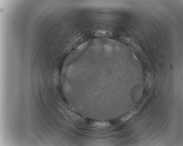 X0000085250659200703231651