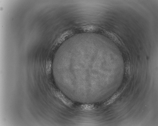 X0000085250660200703231651