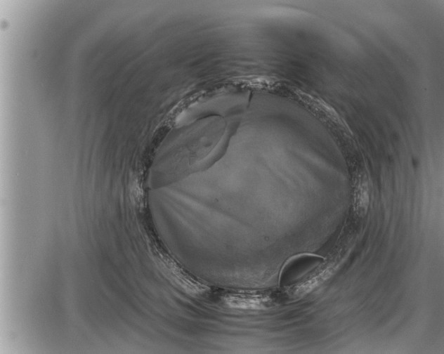 X0000085250661200703231651