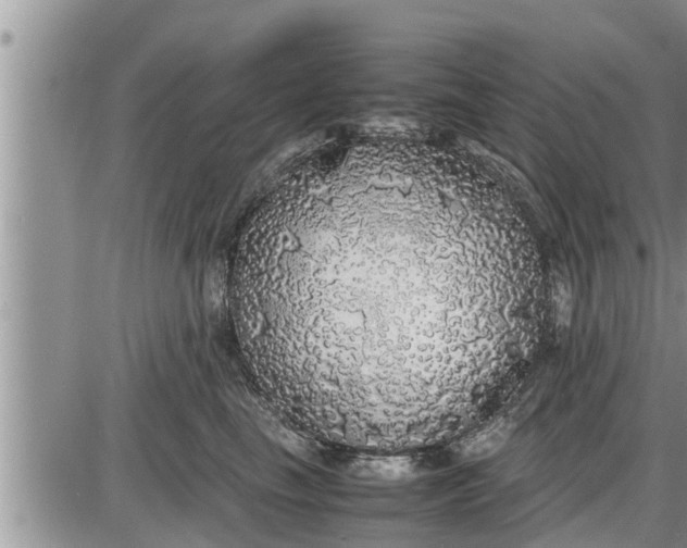 X0000085250665200703231651