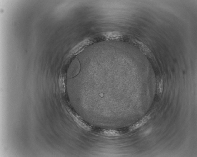 X0000085250666200703231651