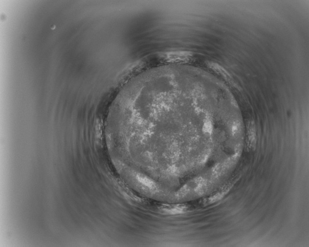 X0000085250667200703231651