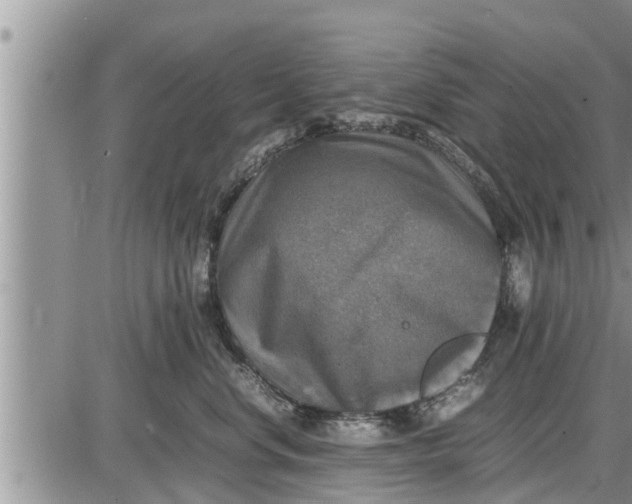 X0000085250668200703231651