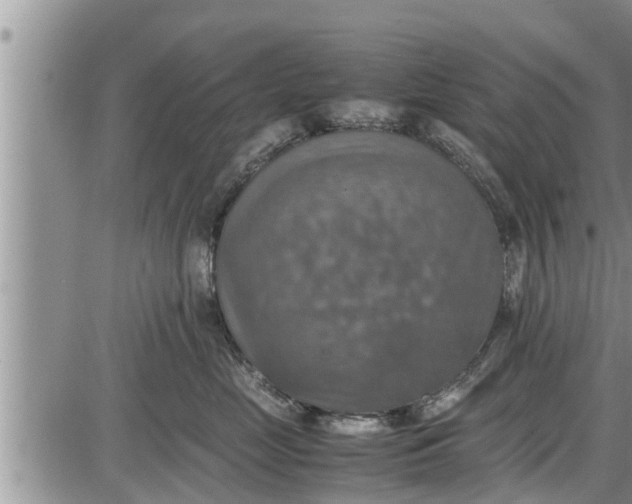 X0000085250669200703231651