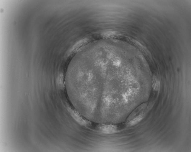 X0000085250670200703231651