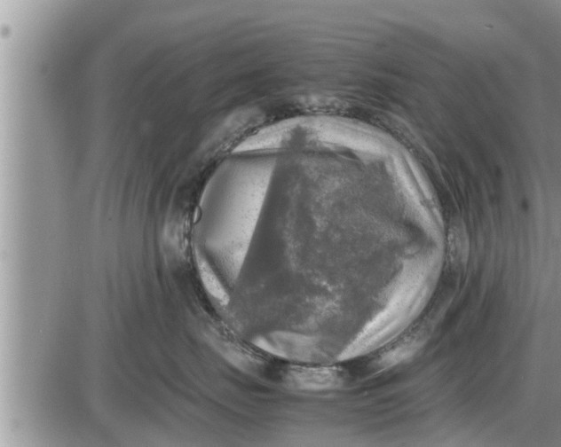 X0000085250671200703231651