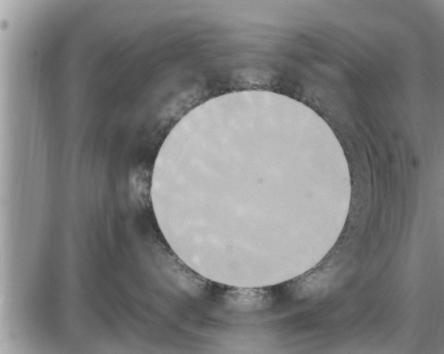 X0000085250672200703231651