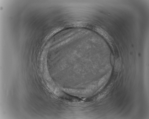 X0000085250673200703231650