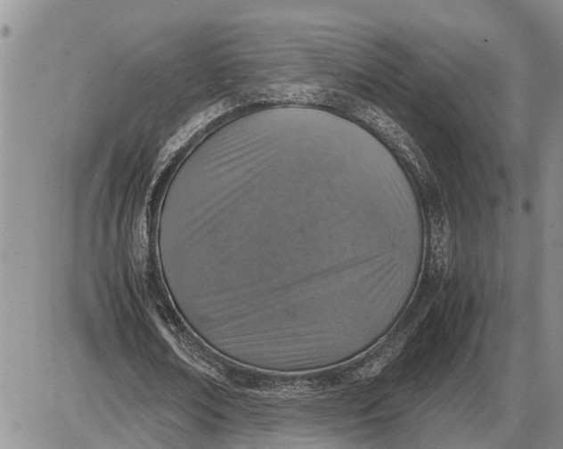 X0000085250674200703231650