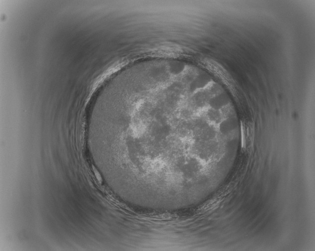 X0000085250675200703231650