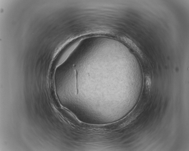 X0000085250676200703231650