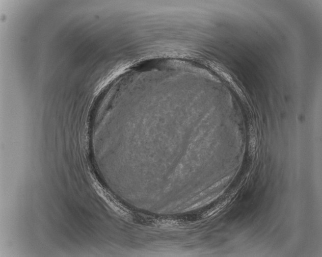 X0000085250677200703231650