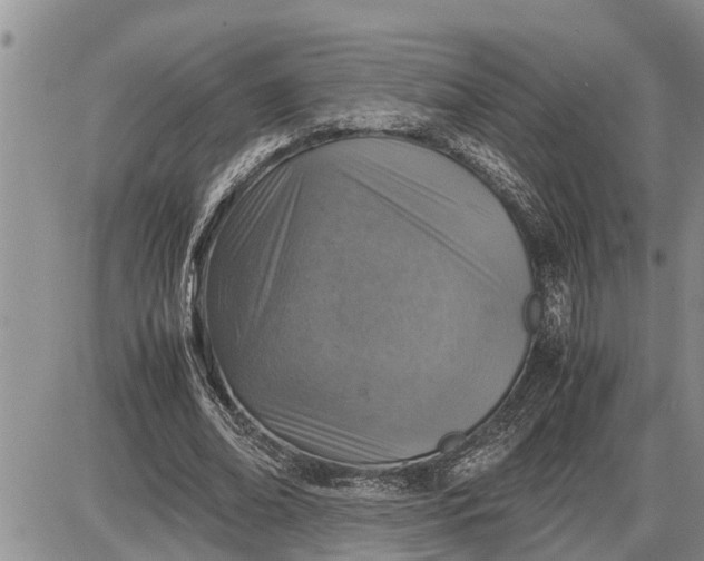 X0000085250678200703231650