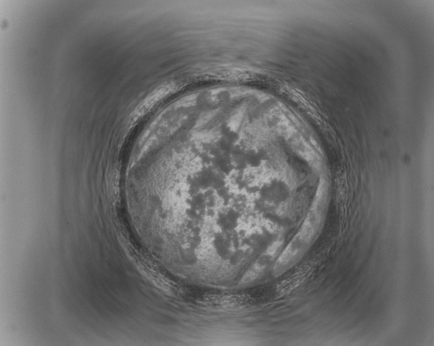 X0000085250679200703231650