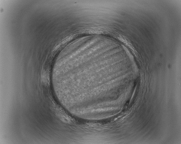 X0000085250681200703231650