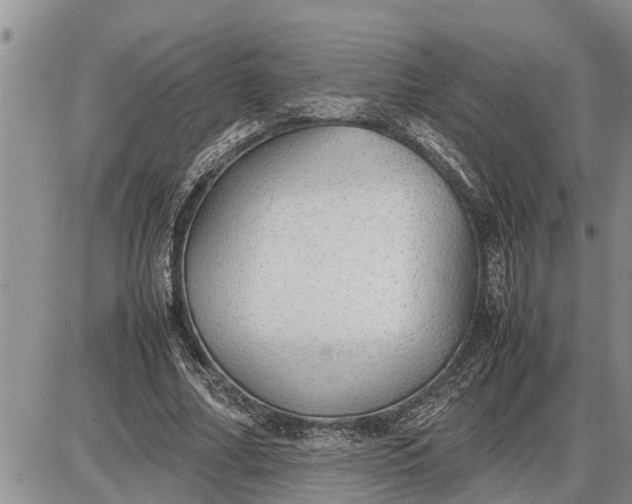 X0000085250682200703231650