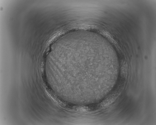 X0000085250683200703231650