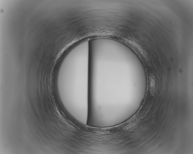 X0000085250684200703231650