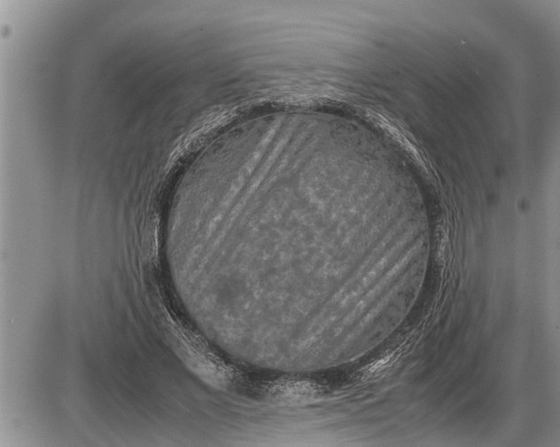 X0000085250685200703231650