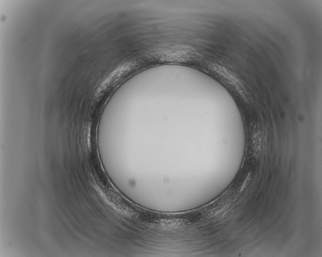 X0000085250686200703231650