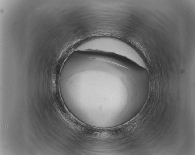 X0000085250688200703231650