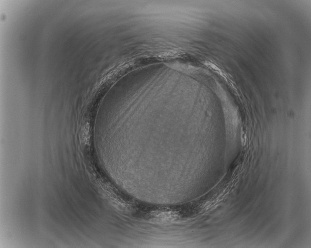 X0000085250689200703231650